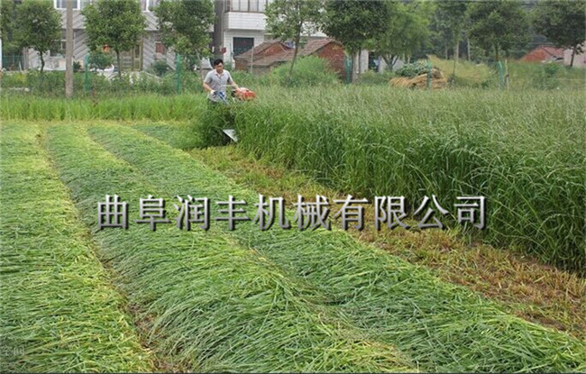 玉米大豆收获割晒机 南昌大型割晒机