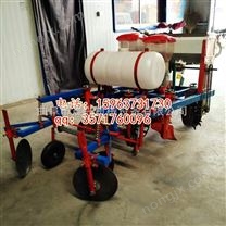 花生播種機(jī) 拖拉機(jī) 小型大蔥種植機(jī)